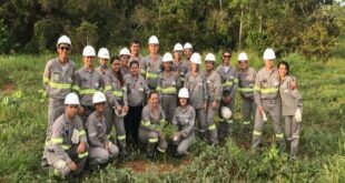 Taboca mineração vagas abertas