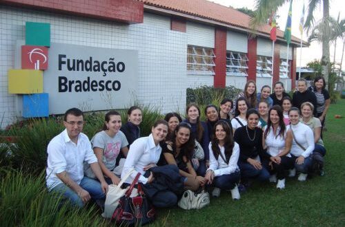 fundação bradesco cursos